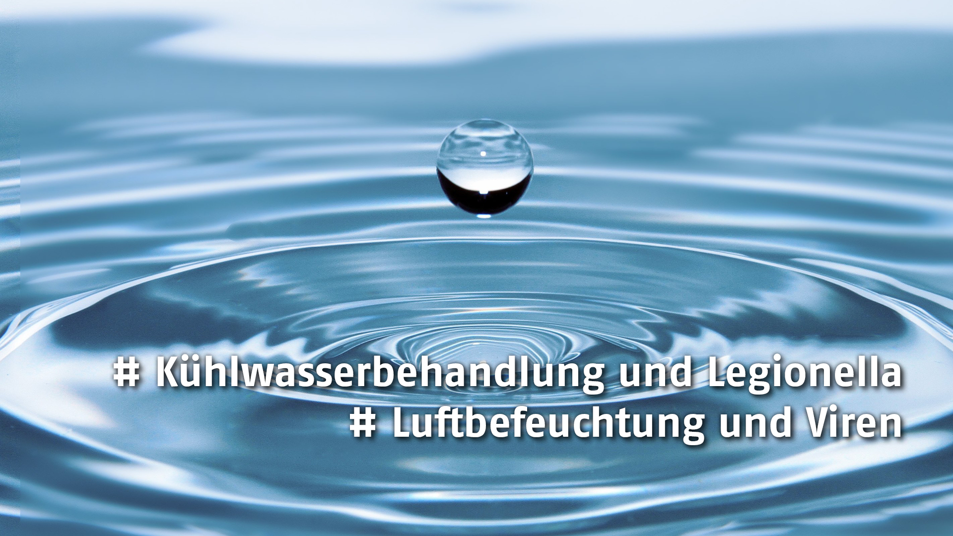 Seminar: Die Vermessung des Wassers – Basis für den effektiven Umgang mit Wasser, Legionella und Viren